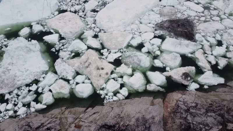 气候变化：随着北极变暖格陵兰岛的发生了什么变化？